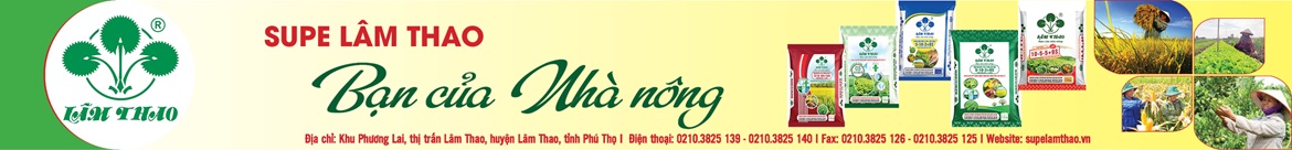 lam-thao
