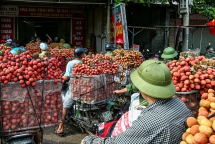 Đan Mạch giúp Việt Nam không mất hàng tỉ USD vì thất thoát, lãng phí nông sản