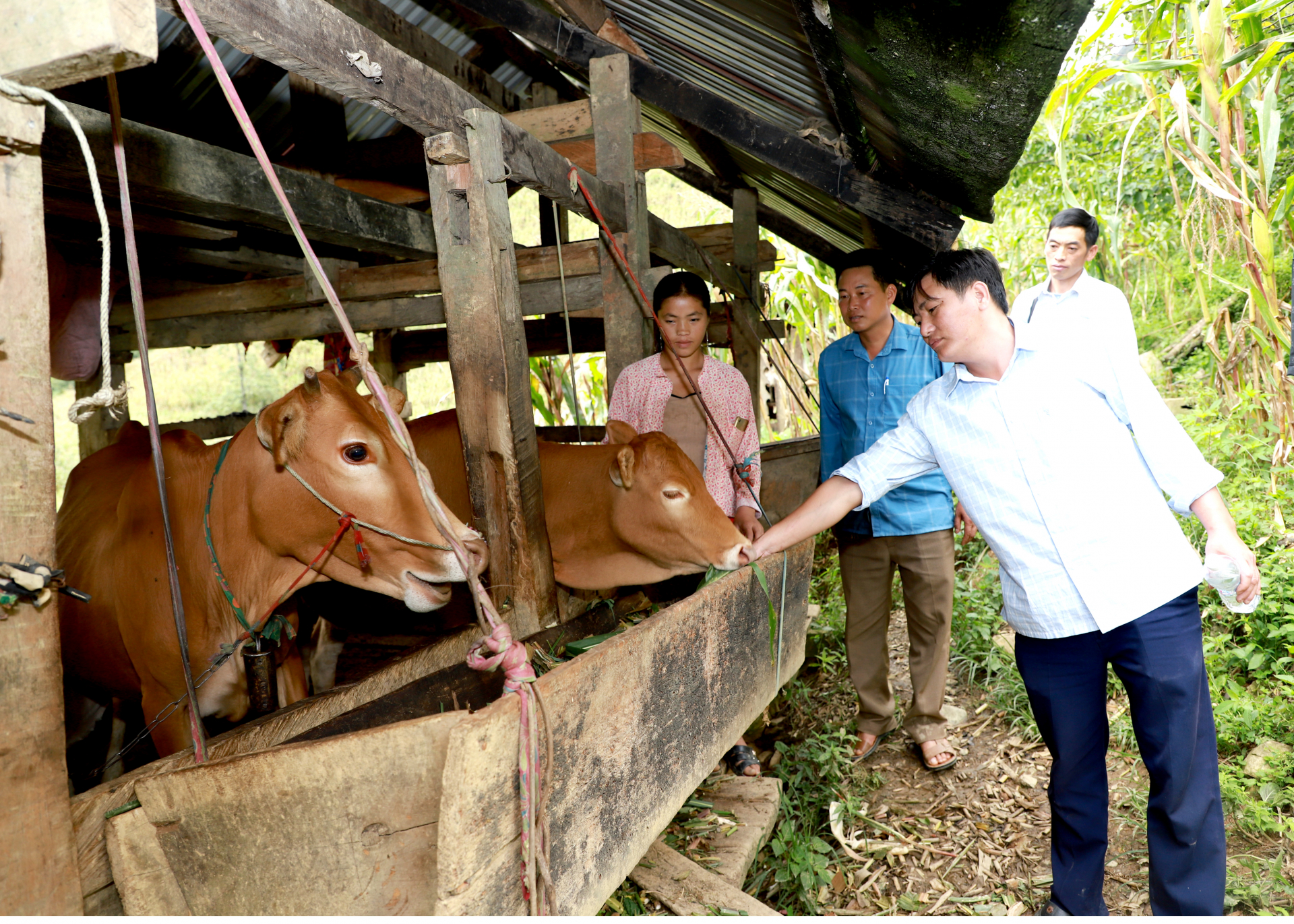 Hướng tới nền nông nghiệp hữu cơ