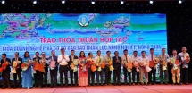 Phát triển nguồn nhân lực nông nghiệp, nông thôn khu vực miền Trung - Tây Nguyên