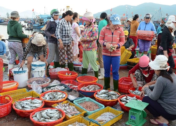 Nguồn cung thủy, hải sản luôn dồi dào, sẵn sàng phục vụ người dân dịp Tết Nguyên đán. Ảnh: Nguyễn Thành.