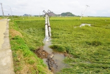 Giông lốc kèm theo sét gây thiệt hại lớn cho Thanh Hóa