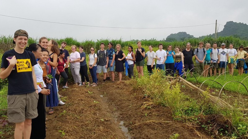 Dẫn sinh viên đại học Hoa Kỳ thăm farm Đồng Sương