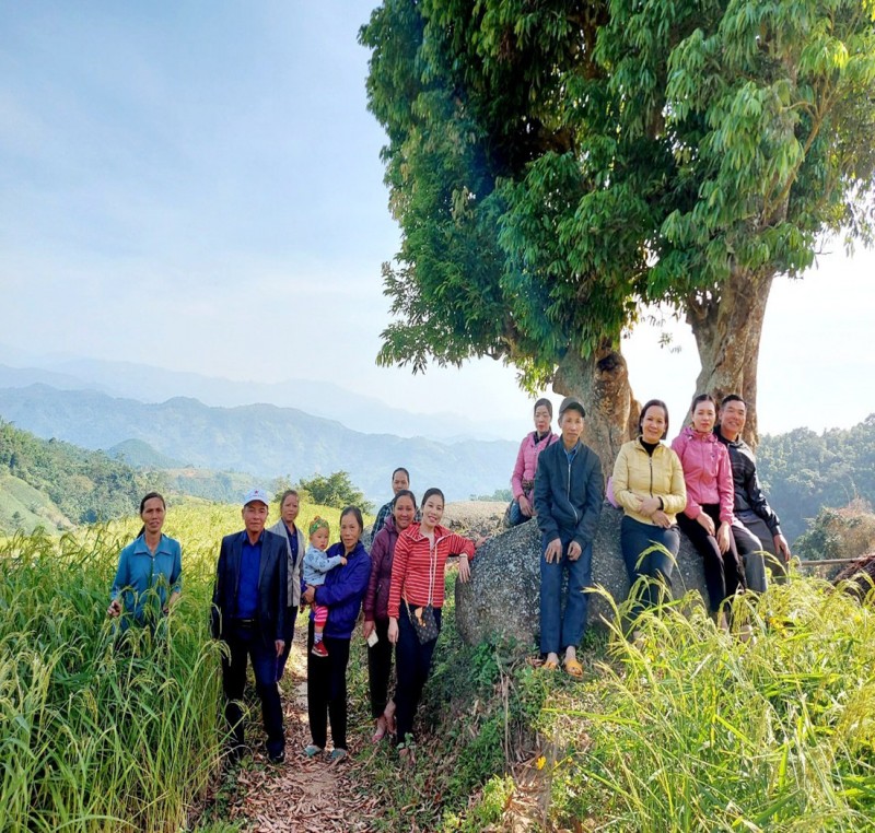 Sản xuất nông nghiệp hữu cơ và áp dụng hệ thống đảm bảo có sự tham gia  trong chương trình hỗ trợ rừng và trang trại