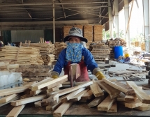 Xuất khẩu các sản phẩm nông nghiệp tăng trên 79%