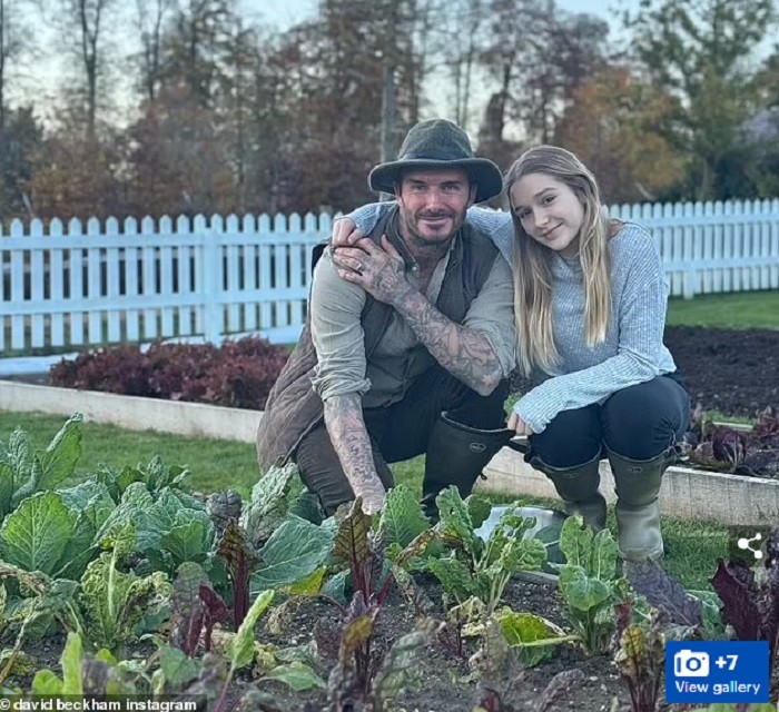 Cựu danh thủ David Beckham cùng cô con gái Harper tại vườn rau Hữu cơ trong biệt thự tại Cotswolds