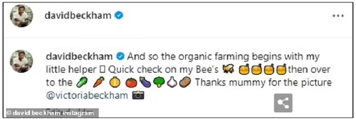 David Beckham không quên gửi lời cảm ơn vợ vì bức hình tuyệt vời