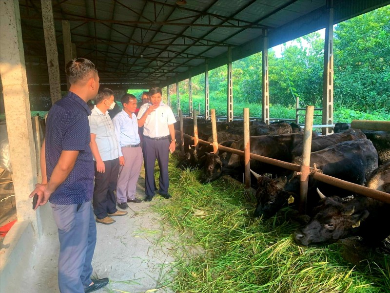 Ảnh 2: Cán bộ Liên minh HTX tỉnh Tuyên Quang cùng Đoàn đoàn cán bộ Liên minh HTX TP. Hà Nội thăm một số mô hình HTX tiêu biểu trên địa bàn tỉnh Tuyên Quang