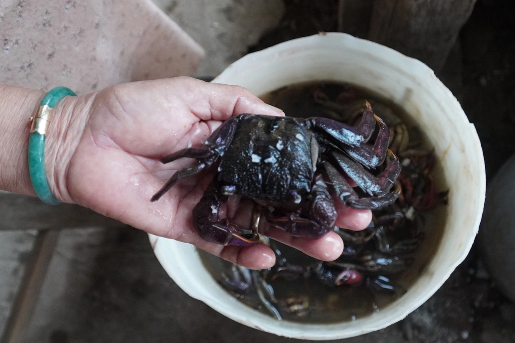 'Bà tổ' nghề làm món 'hao cơm nhất miền Tây' kể thời hoàng kim, ngày bán 7 tạ hết veo veo- Ảnh 1.