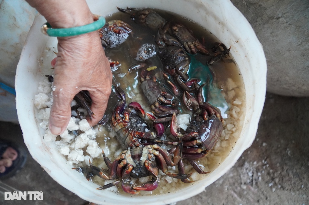 'Bà tổ' nghề làm món 'hao cơm nhất miền Tây' kể thời hoàng kim, ngày bán 7 tạ hết veo veo- Ảnh 2.