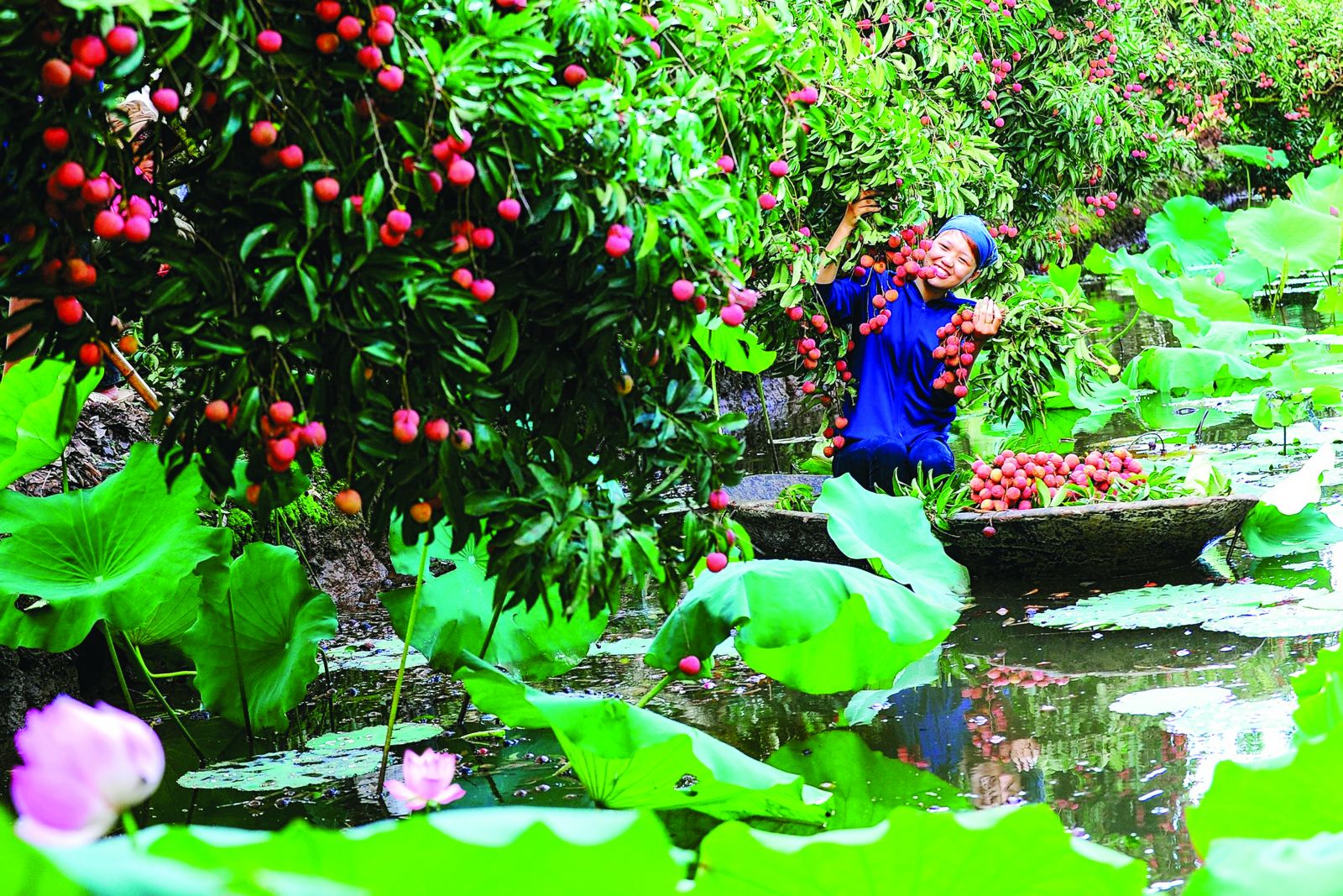 Dấu ấn nông nghiệp xanh và cơ hội cho doanh nghiệp đầu tư phát triển