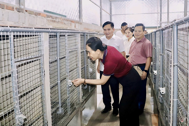 nuôi chồn hương