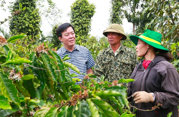 Phân bón Bình Điền thu nhập bình quân đạt hơn 17 triệu đồng