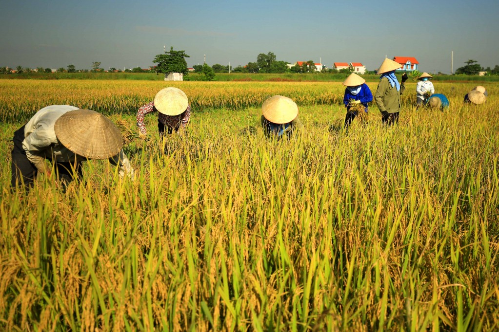 Đảm bảo điều kiện cho vụ mùa mới