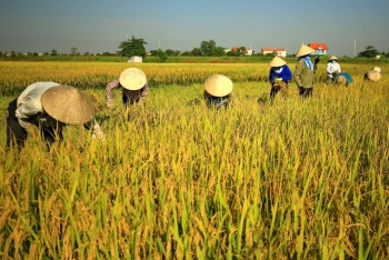 Đảm bảo điều kiện cho vụ mùa mới