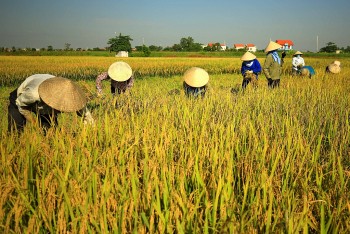 Đảm bảo điều kiện cho vụ mùa mới