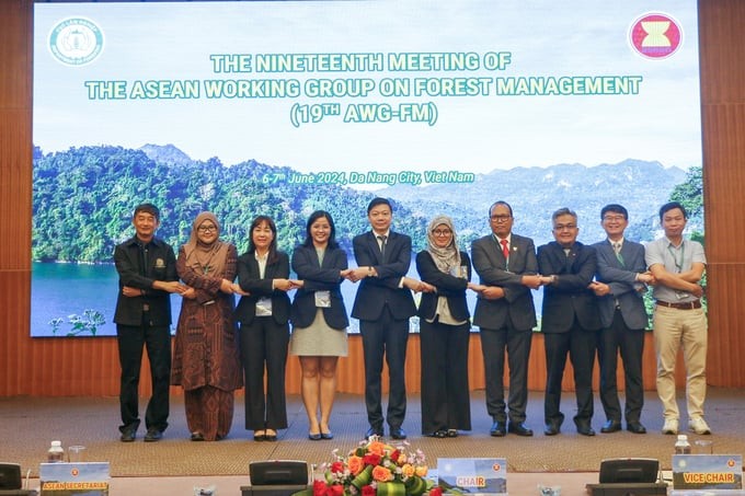 Cộng đồng ASEAN cam kết quản lý rừng bền vững