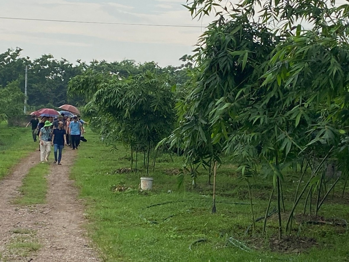 Giải pháp thúc đẩy phát triển sản xuất nông nghiệp hữu cơ, nông nghiệp tuần hoàn khu vực trung du, miền núi phía Bắc