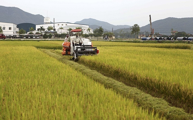 Tăng cường phát triển nông nghiệp hữu cơ và tiếp thị sản phẩm nông sản