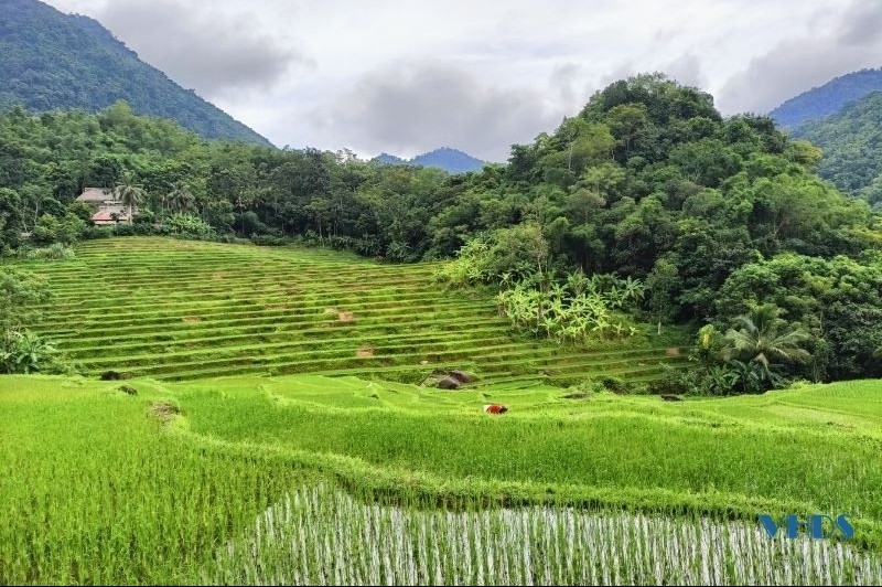 Nông nghiệp "xanh" và du lịch cộng đồng: Liên kết cho sự phát triển bền vững