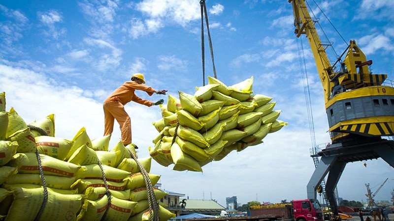 Giá lúa, gạo có xu hướng giảm nhẹ