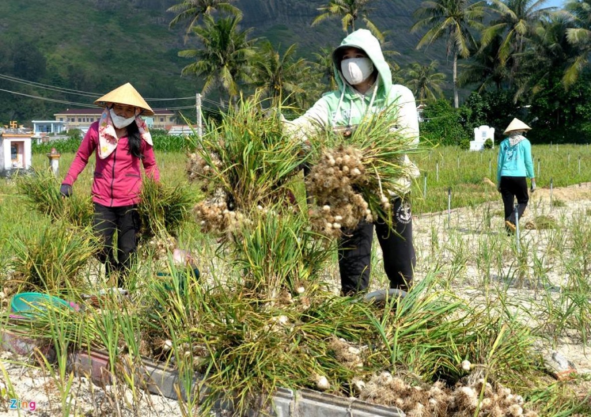 Nghề trồng 