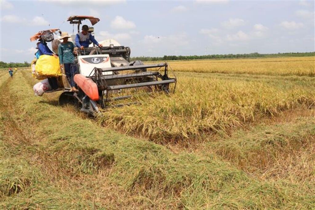 Ngành nông nghiệp ở Đồng Tháp bứt phá trong quá trình chuyển đổi số