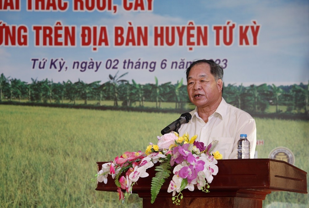 Rục rịch khai hội 