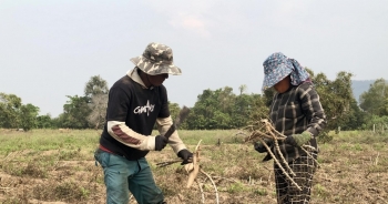 Nông dân Krông Pa cùng nhau thi đua sản xuất phát triển kinh tế