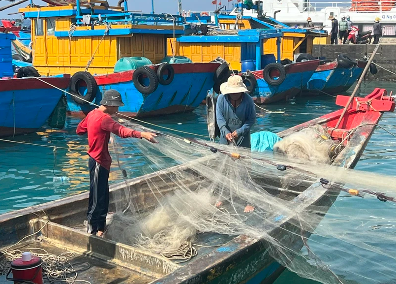 Nỗ lực tháo gỡ 'thẻ vàng' IUU nhằm cải thiện ngành thủy sản