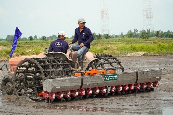 Triển khai đề án lúa chất lượng cao, giảm phát thải tại Đồng Tháp