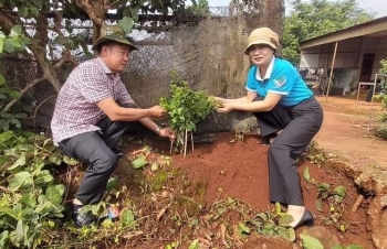 Huyện Đắk Song, Đắk Nông: Ra mắt mô hình “nhà sạch - đường đẹp” năm 2024