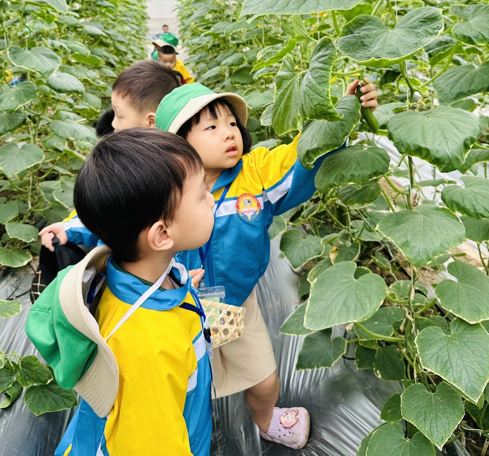 Phát triển nông nghiệp kết hợp với du lịch xanh để tối ưu hóa lợi ích bền vững