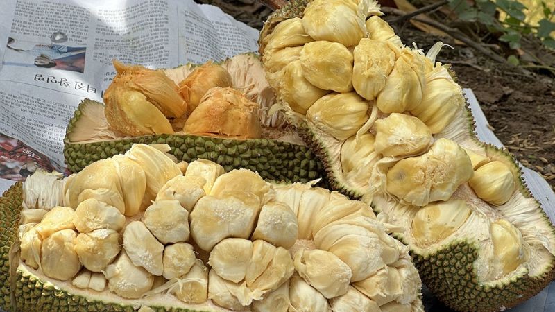 Trái cây lai tạo tăng sức hút trên thị trường