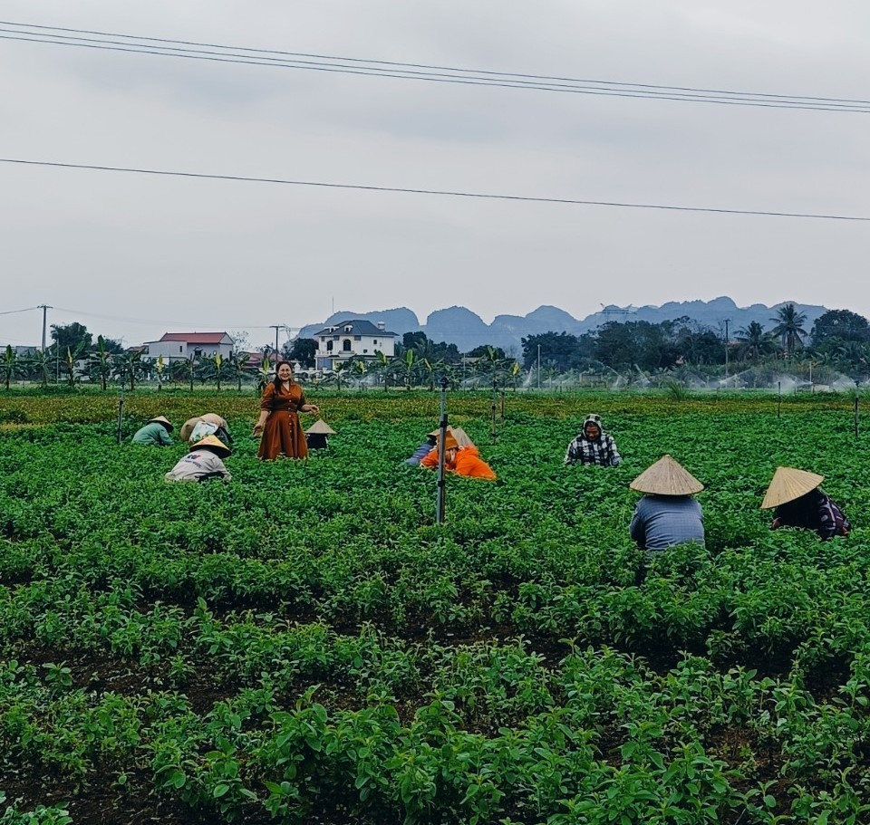 Dược liệu Tây Nguyên tặng bàn ghế cho Trường tiểu học Hóa Qùy