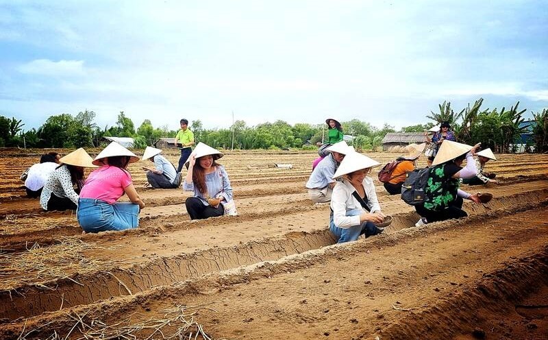 Trà Vinh đào tạo nghề cho hơn 7.000 lao động nông thôn