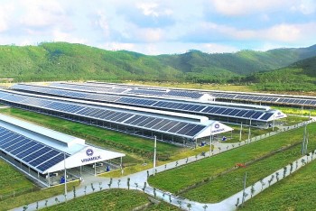 Đến năm 2050, Việt Nam cam kết đưa phát thải ròng khí nhà kính về Zero