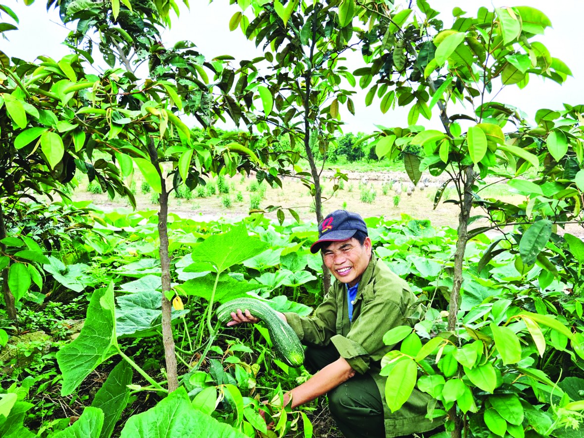 PGS Việt Nam: Đổi mới  để “sống khỏe”