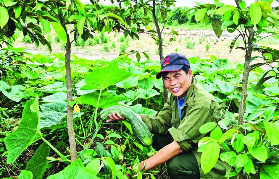 PGS Việt Nam: Đổi mới  để “sống khỏe”