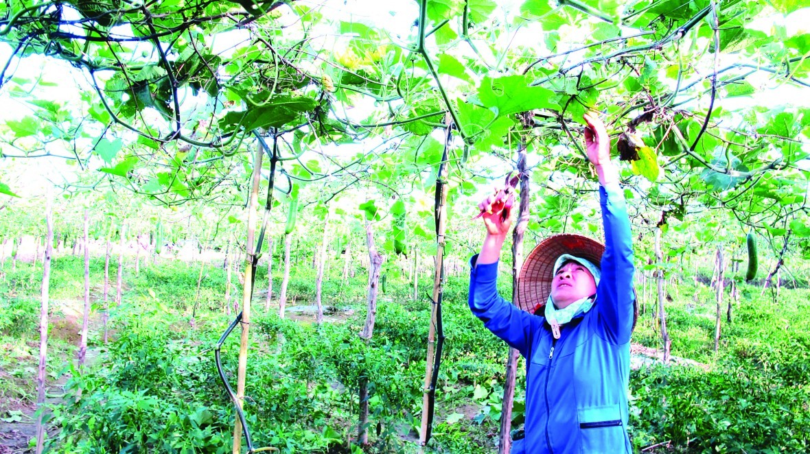 Mục tiêu của thời đại  là phát triển nền Nông nghiệp bền vững