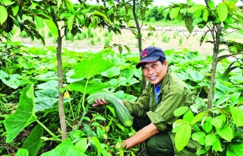 PGS Việt Nam: Đổi mới  để “sống khỏe”