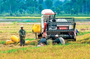 Gia tăng động lực phát triển nông nghiệp và kinh tế nông thôn