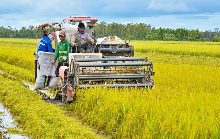 Chính sách mới giúp nông dân sống được nhờ đất lúa