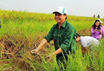 Tăng trưởng nông nghiệp nhờ chính sách hỗ trợ và liên kết sản xuất