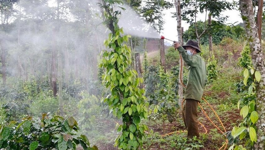 Đắk Nông: Ngành vật tư nông nghiệp 