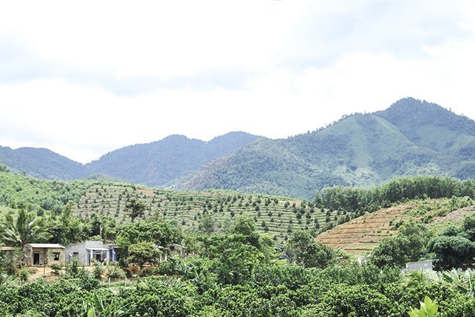 Tháo gỡ vướng mắc, đẩy mạnh hỗ trợ sản xuất cho đồng bào dân tộc thiểu số