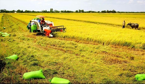 Đòn bẩy cho nông nghiệp Việt Nam vươn xa