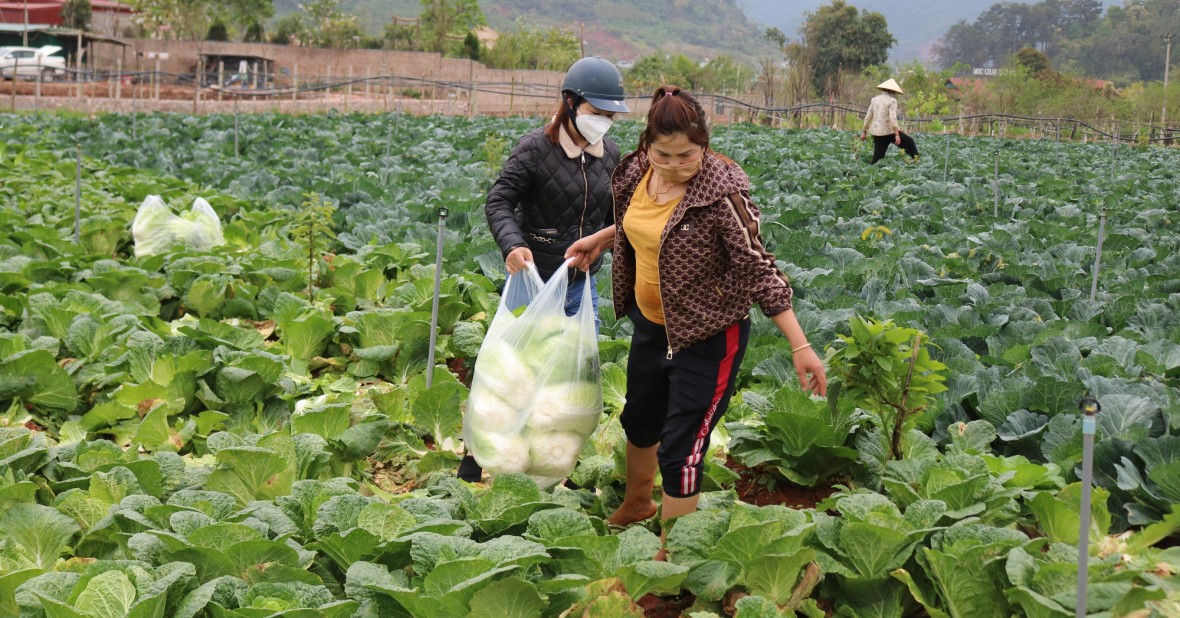 Mộc Châu vươn mình thành 