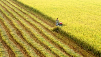 Nghệ An quyết tâm nâng cao chất lượng hoạt động Hội Nông dân