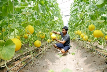 Vượt lên thách thức, nông nghiệp xã Văn Tiến bứt phá nhờ công nghệ